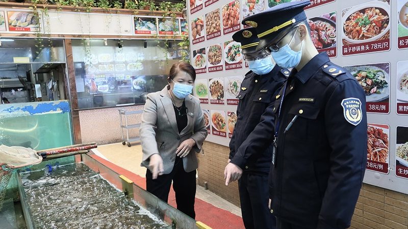 食品批发代理的分类解析